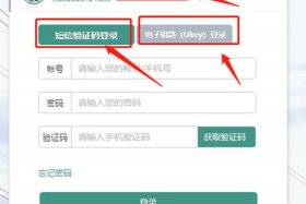 国网电商平台怎么上架商品；国网电商平台怎么上架商品链接