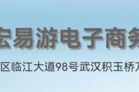 武汉电商公司排行榜前十名，武汉电商公司排行榜前十名有哪些
