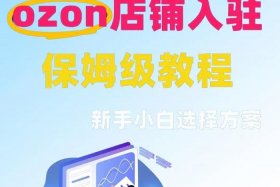 俄罗斯ozon电商平台如何入驻 - 俄罗斯电商平台ozon入驻条件