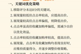 电商运营直通车是什么（电商运营直通车怎么用）