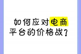 电商价格战的最好应对方法 - 电商打价格战如何应对