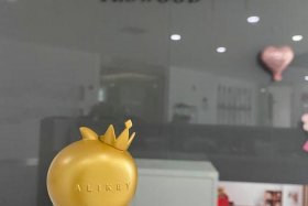 源木电商；源木科技有限公司