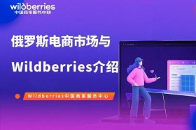 俄罗斯电商平台wildberries官网 - 俄罗斯本地电商平台