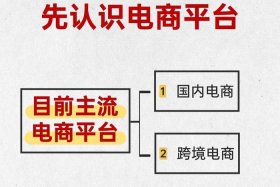 什么是电商平台合法吗 - 什么是电商平台？