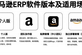 亚马逊一般用什么erp软件、亚马逊一般用什么erp软件做