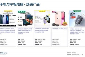 MTD电商什么意思 - 电商demo是什么意思