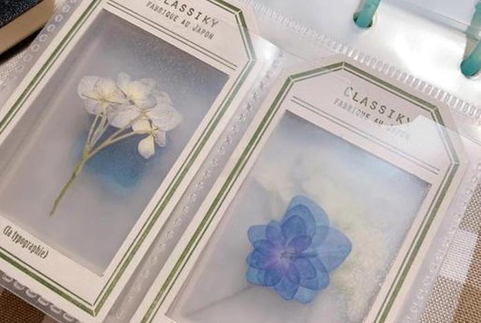 亚马逊电商怎么做干花标本 亚马逊标签怎么做