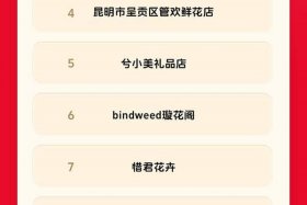 618各大电商排行，618各大电商排行榜第几