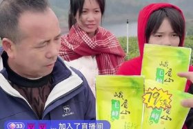 抖音电商陈安、抖音电商老陈