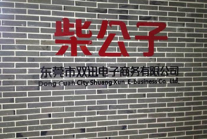 东莞电商公司排名;东莞电商公司排名前十 东莞电商公司排名;东莞电商公司排名前十