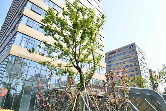 遨森电商排名浙江第几(浙江跨境电商公司排名) 遨森电商排名浙江第几(浙江跨境电商公司排名)