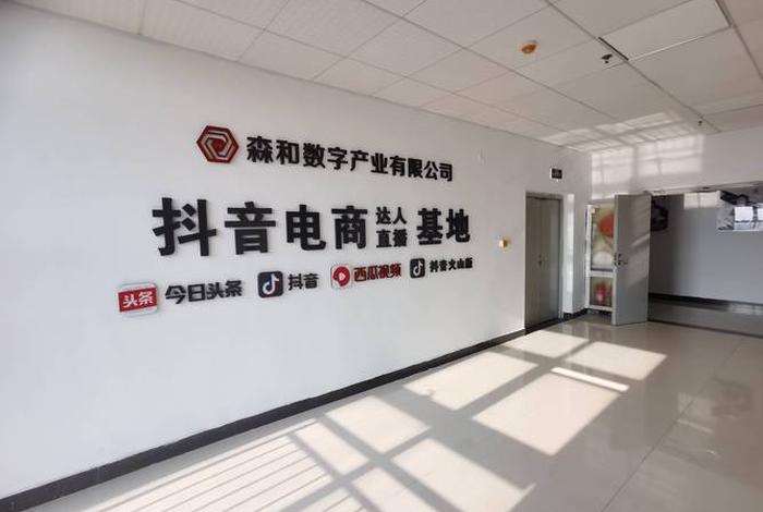 山东直播电商管理集团有限公司；山东直播公司哪家好