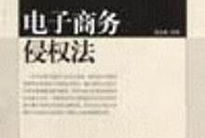 电商侵权责任法（电商侵权责任法律法规）