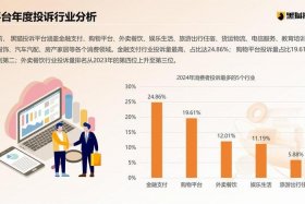 电商金融在消费者供应商资金不足且有融资需求时 - 电商企业提供的互联网消费