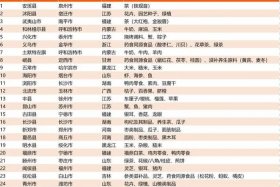 中国电商排名前十名省份 中国电商排名前十名城市