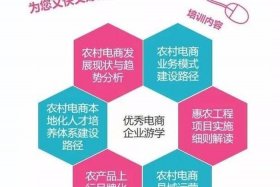 培育电商人才措施（培育电商人才措施怎么写）