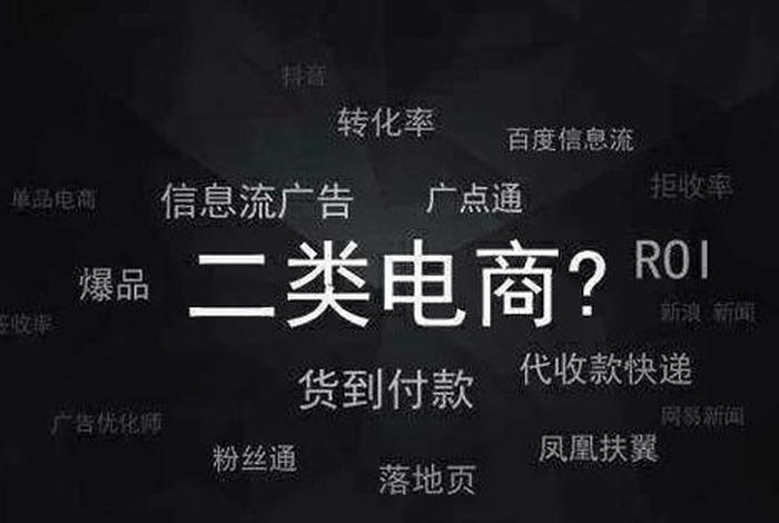 一类二类电商是什么意思;什么叫一类电商和二类电商 一类二类电商是什么意思;什么叫一类电商和二类电商
