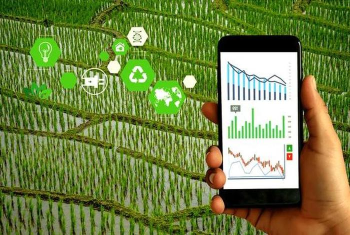 农产品电商和农村电商有什么区别、农产品电商和农村电商有什么区别呢