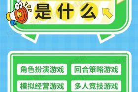 电商游戏开发、网络电玩游戏开发