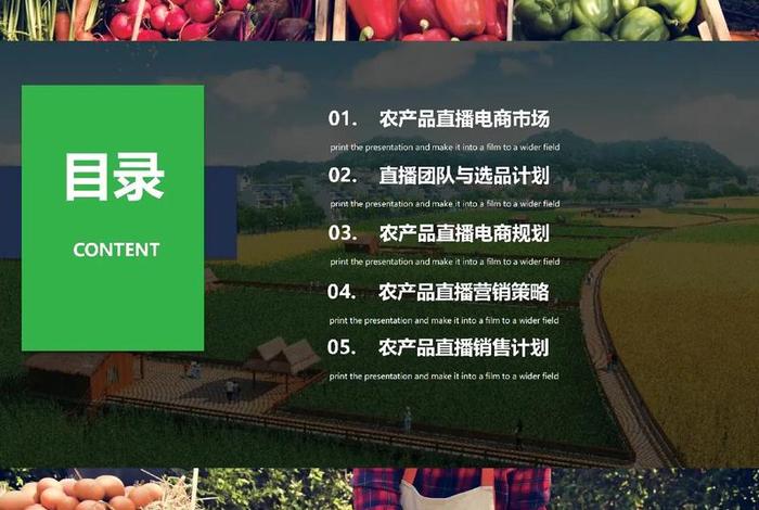 食品电商公司（食品电商公司产品发布会PPT）