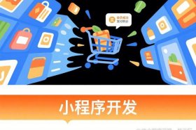 电商平台开发方案优化设计；电商平台开发方案优化设计怎么写