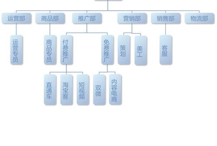 电商集团组织架构、电商集团组织架构及职责