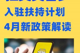 巴西电商平台领导者 - 巴西电商平台领导者是哪一个