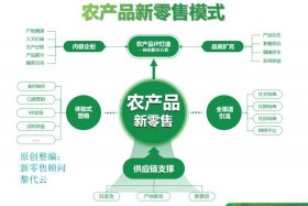 农产品电商的常见运营模式，农产品电商的常见运营模式有哪些