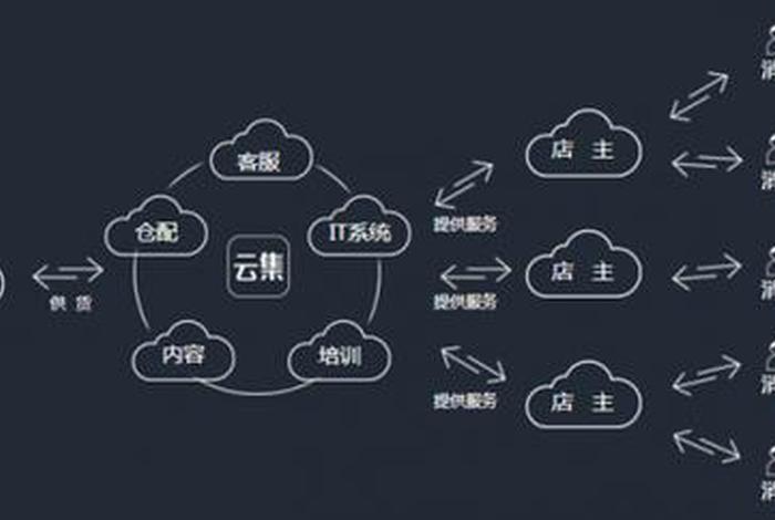 云电商平台,云集电商平台 云电商平台,云集电商平台