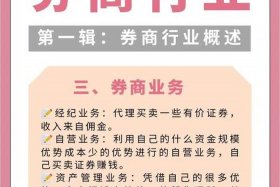 什么是电商平台券（什么是电商平台券商）
