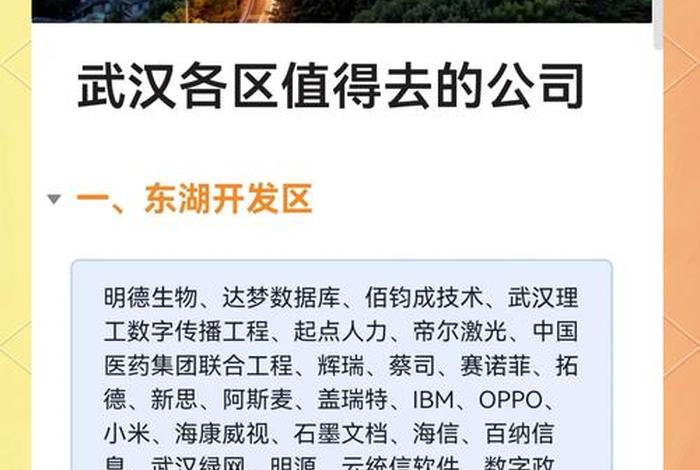 武汉电商公司排名前十;武汉电商公司排名前十有哪些 武汉电商公司排名前十;武汉电商公司排名前十有哪些