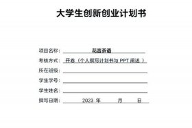 助农电商平台创业计划书，助农电商平台创业计划书模板
