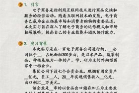 电商网站设计与策划、电商网站设计与策划实训报告