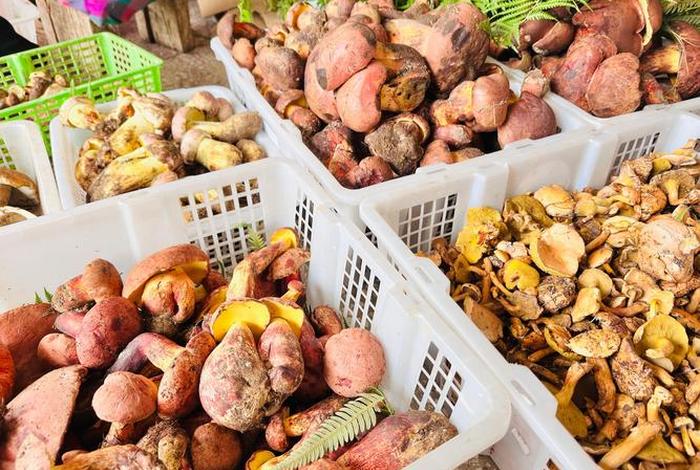 云南电商产品,云南电商产品介绍 云南电商产品,云南电商产品介绍