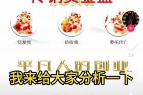 大电商传销平台；大电商传销平台有哪些