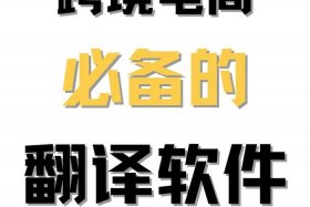 亚马逊跨境电商软件推荐（亚马逊跨境电商软件推荐哪个）