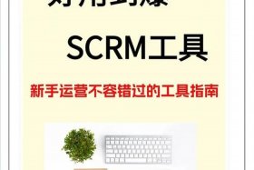 scrm软件是干什么的（scrm软件是干什么的下载）