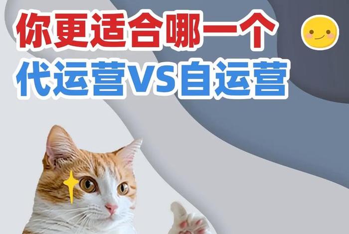 电商代运营公司好做吗 - 电商代运营公司好做吗知乎 电商代运营公司好做吗 - 电商代运营公司好做吗知乎