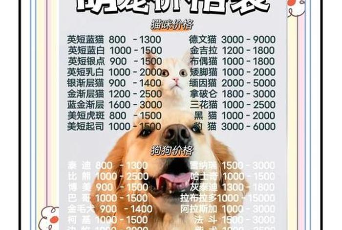 宠物店上班多少钱一个月;宠物店上班多少钱一个月工资 宠物店上班多少钱一个月;宠物店上班多少钱一个月工资