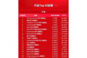 双十一电商销售排名（电商双十一销售额排名）