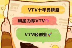 电商gsv是什么意思；电商gsv是什么意思啊