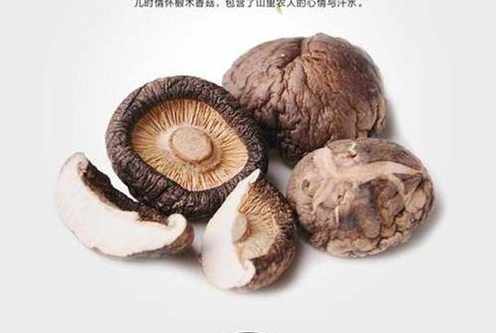 电商土特产，电商土特产怎么做