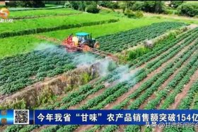 甘肃省农产品电商发展现状；甘肃省农产品电商发展现状调查