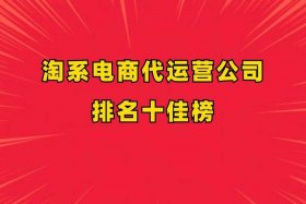 电商运营最好的公司（电商运营最好的公司是哪家）