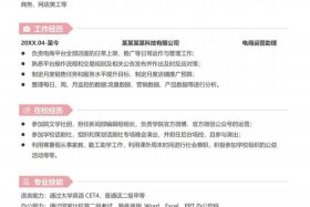 电商运营求职简历；电商运营求职简历模板