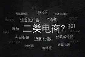电商二类平台什么意思，电商二类平台什么意思啊