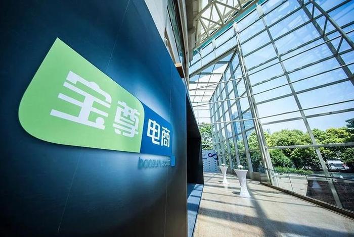 宝尊电商最新信息（宝尊电商是干什么的）