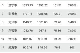 山东电商发展最好的城市，山东电商发展最好的城市排名