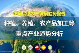 电商农业发展迅速的公司；电商农业发展迅速的公司有哪些