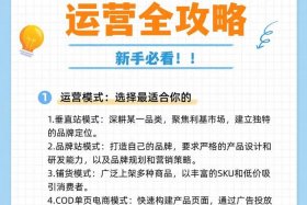 独立站跨境电商怎么做、跨境独立站怎么运营